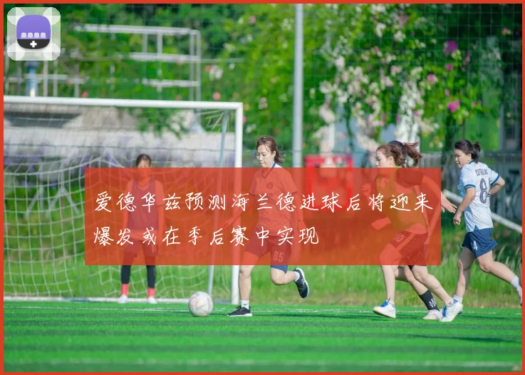 爱德华兹预测海兰德进球后将迎来爆发或在季后赛中实现